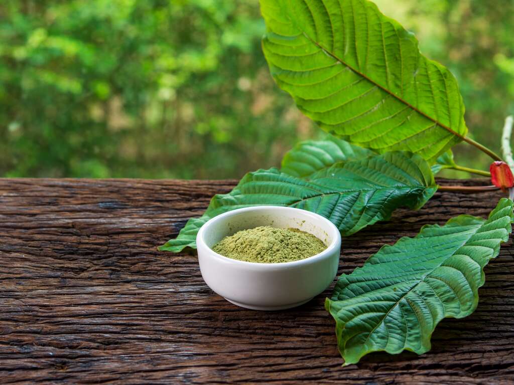 best vendor to buy kratom online